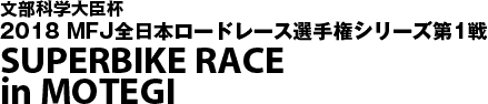 全日本ロードレース選手権第1戦もてぎ